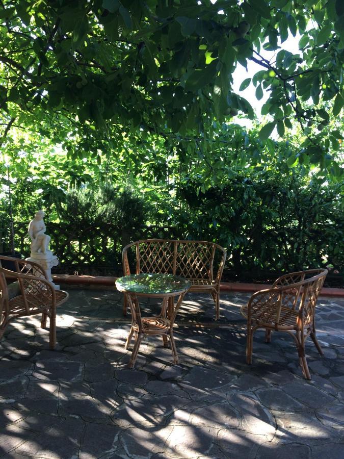 B&B "Croce Nivera" Vibo Valentia Dış mekan fotoğraf
